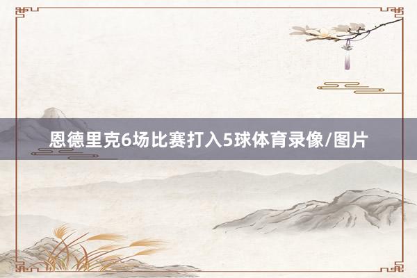 恩德里克6场比赛打入5球体育录像/图片