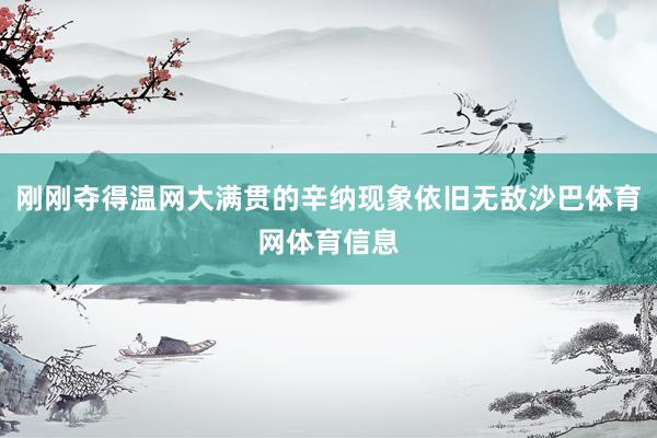 刚刚夺得温网大满贯的辛纳现象依旧无敌沙巴体育网体育信息