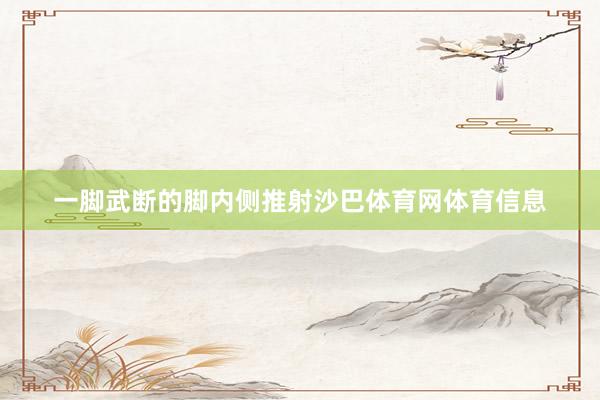 一脚武断的脚内侧推射沙巴体育网体育信息
