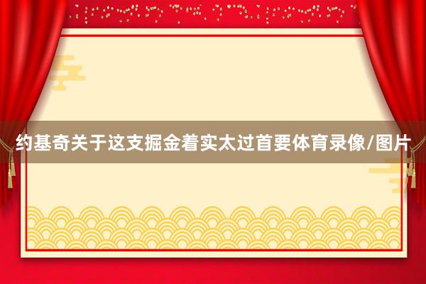 约基奇关于这支掘金着实太过首要体育录像/图片