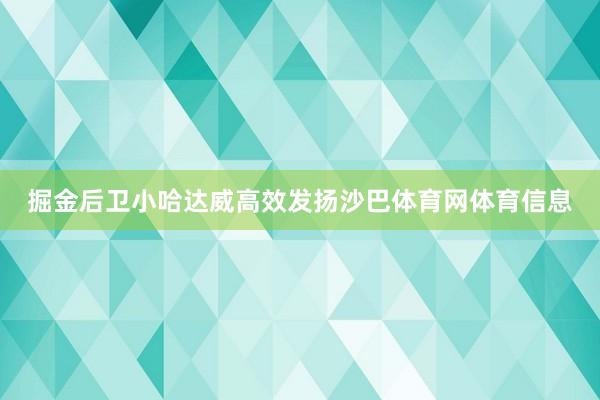 掘金后卫小哈达威高效发扬沙巴体育网体育信息