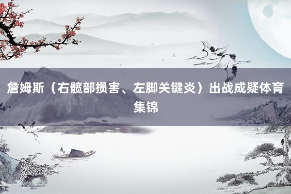 詹姆斯（右髋部损害、左脚关键炎）出战成疑体育集锦