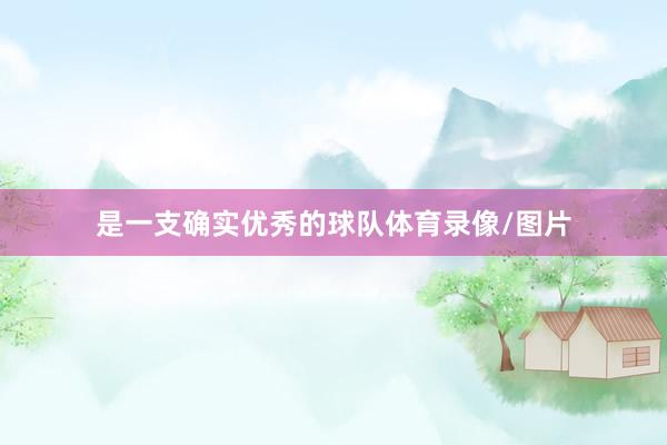 是一支确实优秀的球队体育录像/图片
