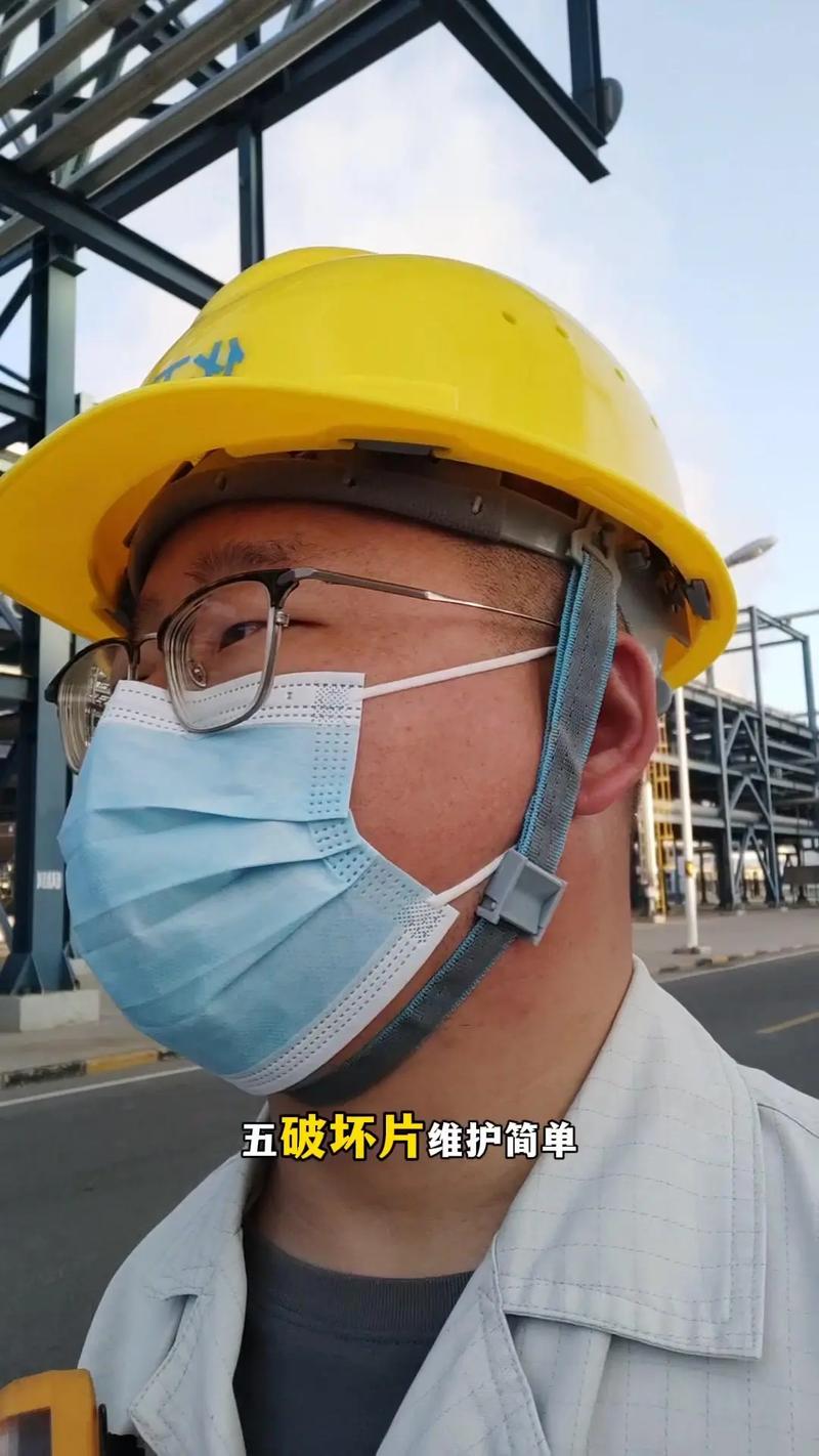 压力容器安全装置辨析 爆破片与安全阀的核心区别